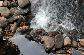 ฺBIG Camera, บิ๊กคาเมร่า, Review, รีวิว, Shutter Speed