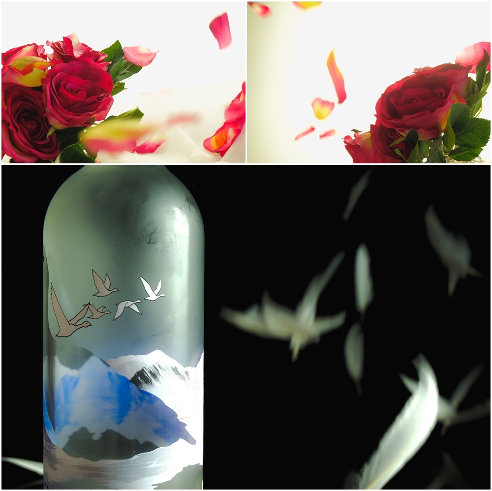 Canon The Master of Premium Workshop