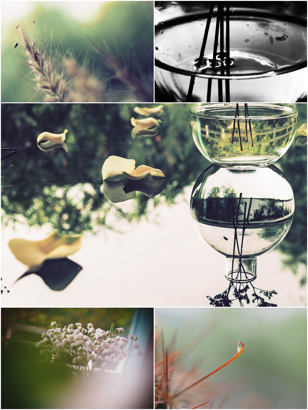 Olympus The Master Of Premium Photo Workshops