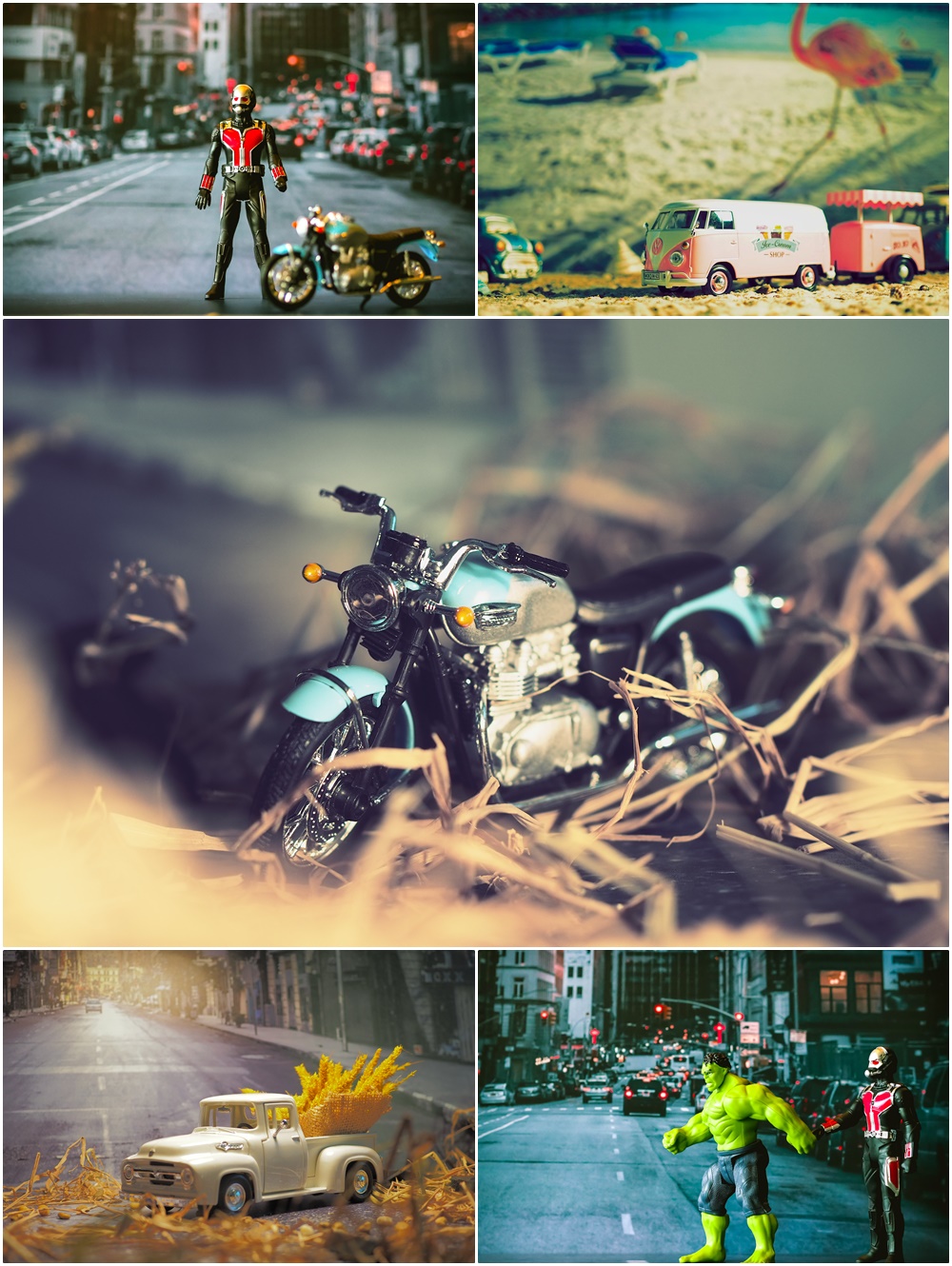 Olympus The Master Of Premium Photo Workshops