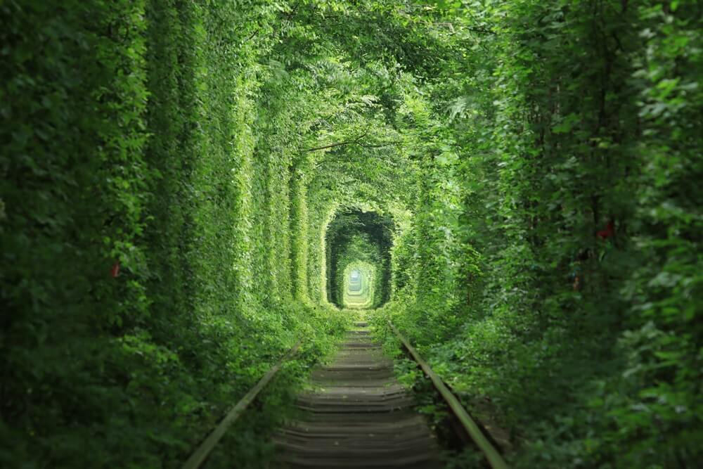 Canon EOS M6 Mark II เซ็นเซอร์ APS-C ความละเอียด 32.5 ล้านพิกเซล