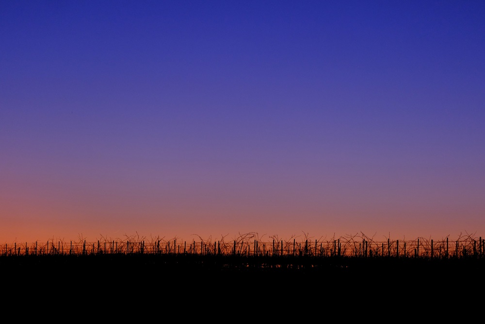 Fujifilm X-T30 เซ็นเซอร์ + ชิปประมวลผลรุ่น4 ทรงประสิทธิภาพจากเรือธง X-T3