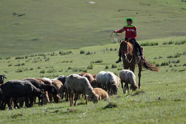 Preview Sony a6600 เรือธงสุดพรีเมี่ยม สำหรับงานวิดีโอระดับมืออาชีพ