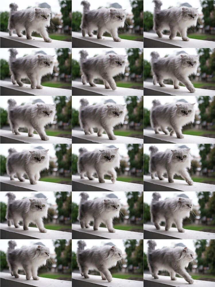 Sony FE 35mm f1.8 เลนส์ไวแสง เบา เล็ก สเปกเหนือราคา