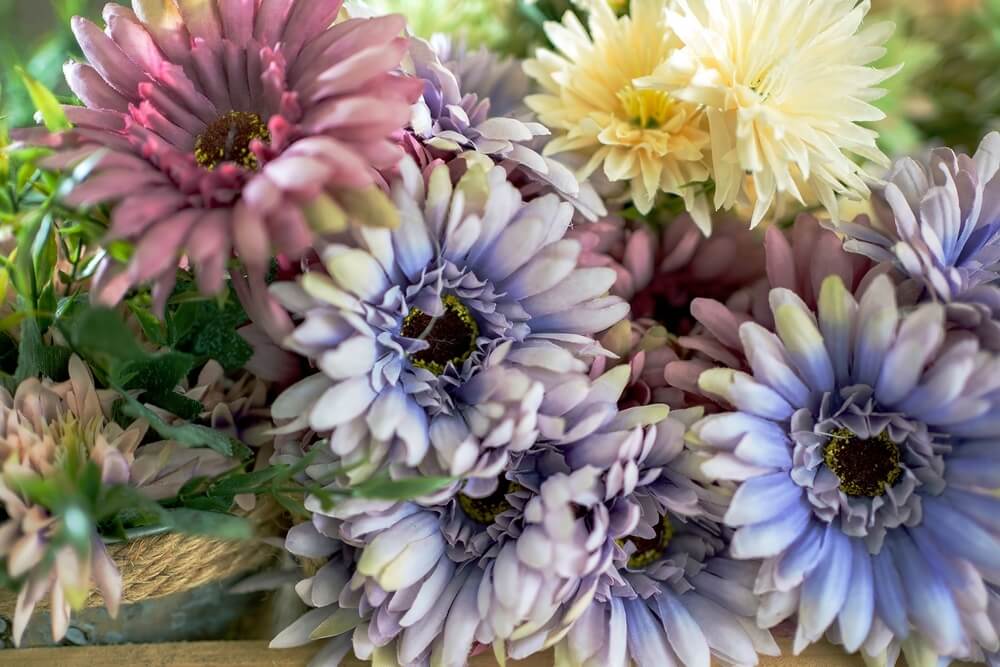 Sony FE 35mm f1.8 เลนส์ไวแสง เบา เล็ก สเปกเหนือราคา