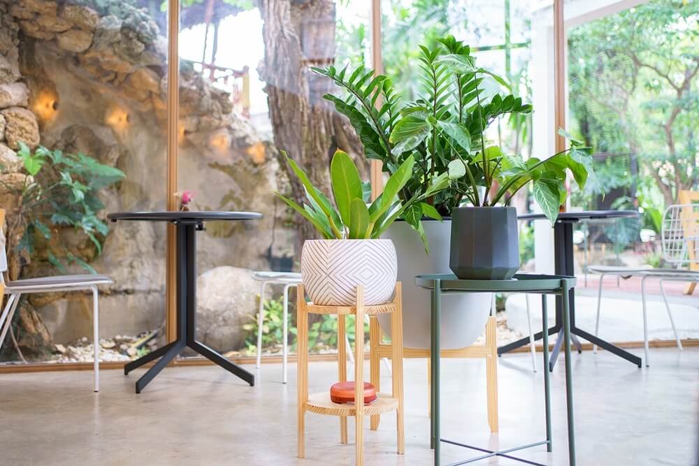 Sony FE 35mm f1.8 เลนส์ไวแสง เบา เล็ก สเปกเหนือราคา