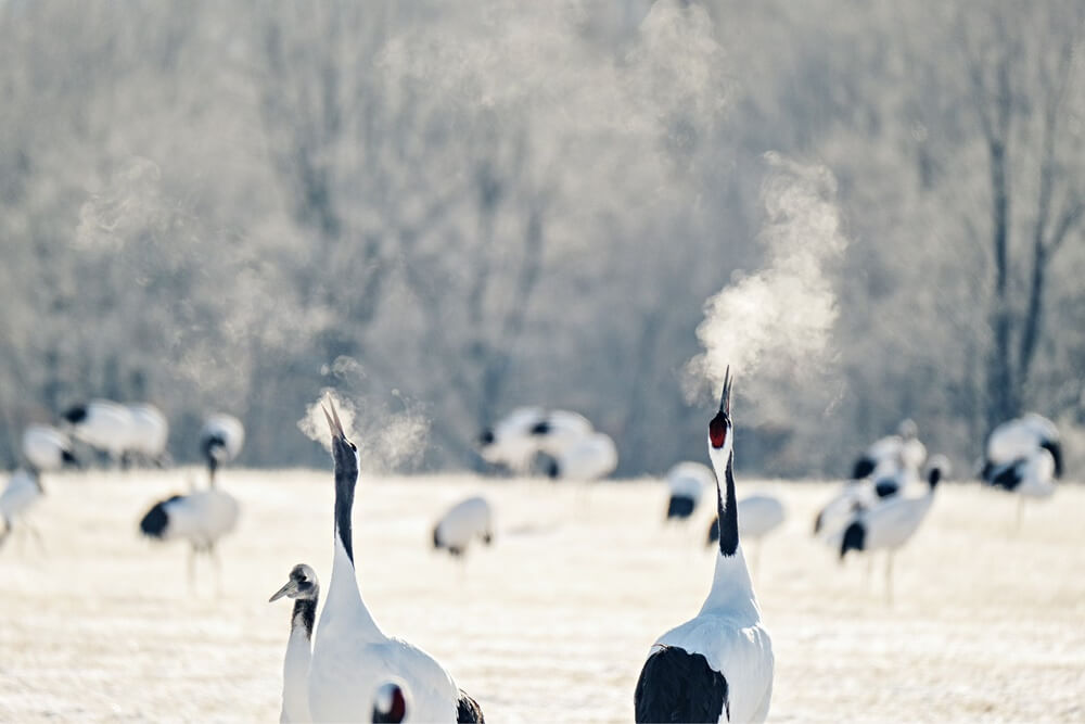 Preview FUJIFILM X-T4 สุดยอดกล้อง Mirrorless สเปคเทพ พร้อมกันสั่น IBIS ถูกใจสาย VDO