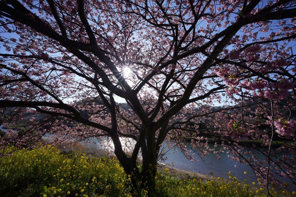 ภาพตัวอย่างจากเลนส์ Sony FE 14mm f/1.8 GM