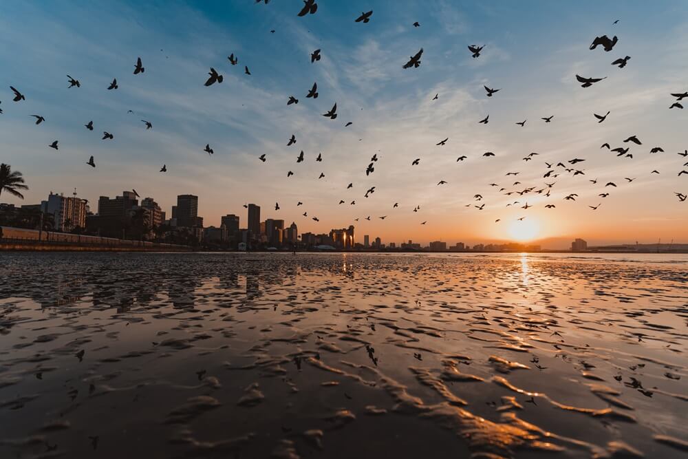Tamron 11-20mm F/2.8 Di III-A RXD sony