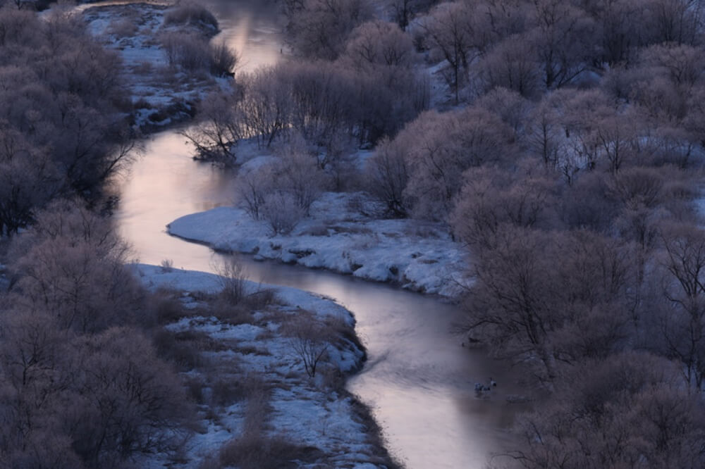 ภาพตัวอย่าง Canon EOS R7