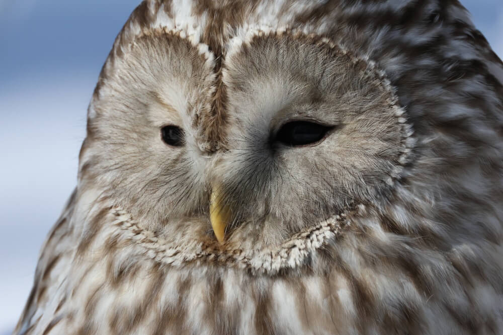 ภาพตัวอย่าง Canon EOS R7