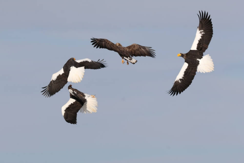 ภาพตัวอย่าง Canon EOS R7