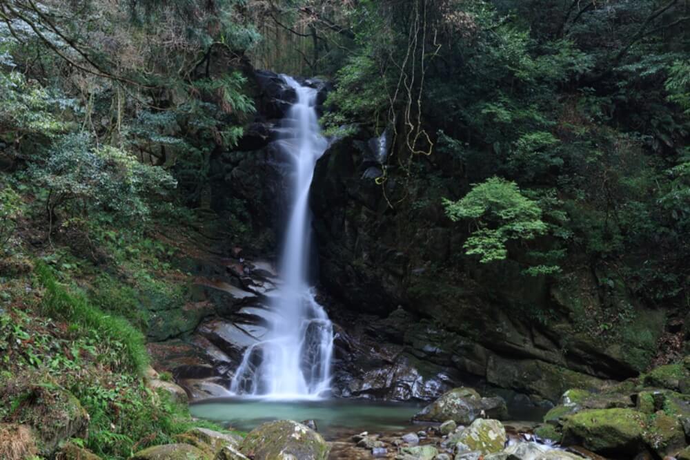 ภาพตัวอย่าง Canon EOS R7