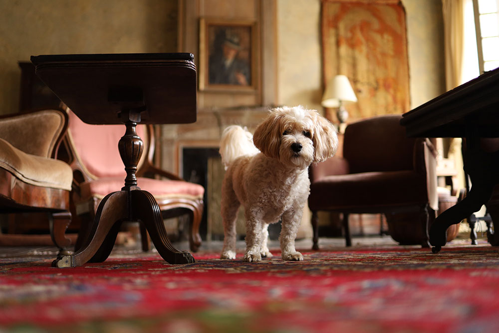 ส่องกล้องใหม่มาแรง Canon EOS RP Full Frame ตัวเล็ก หัวใจแกร่ง สายเที่ยวห้ามพลาด