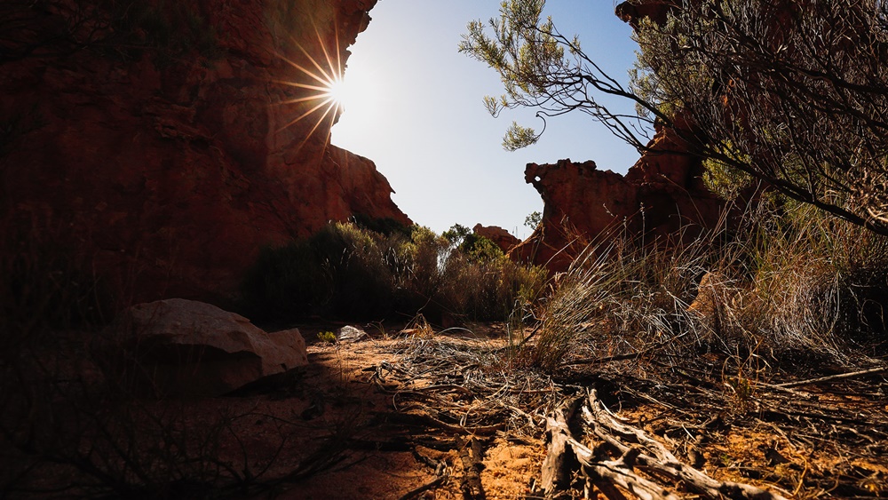 ส่องกล้องใหม่มาแรง Canon EOS RP Full Frame ตัวเล็ก หัวใจแกร่ง สายเที่ยวห้ามพลาด