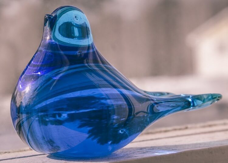 12 ทริค ถ่ายที่ร่มให้กลายเป็นที่เลิศ