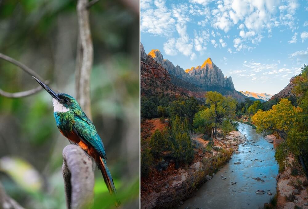 ส่อง 15 trends! ถ่ายภาพปี 2021 อัปเดตภาพชิคๆก่อนใคร