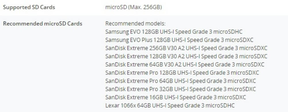 DJI Action 2 micro SD Card