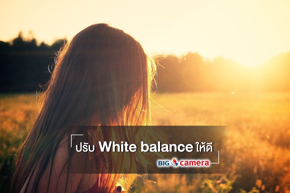 6 เทคนิกง่ายๆ ถ่ายภาพย้อนแสง